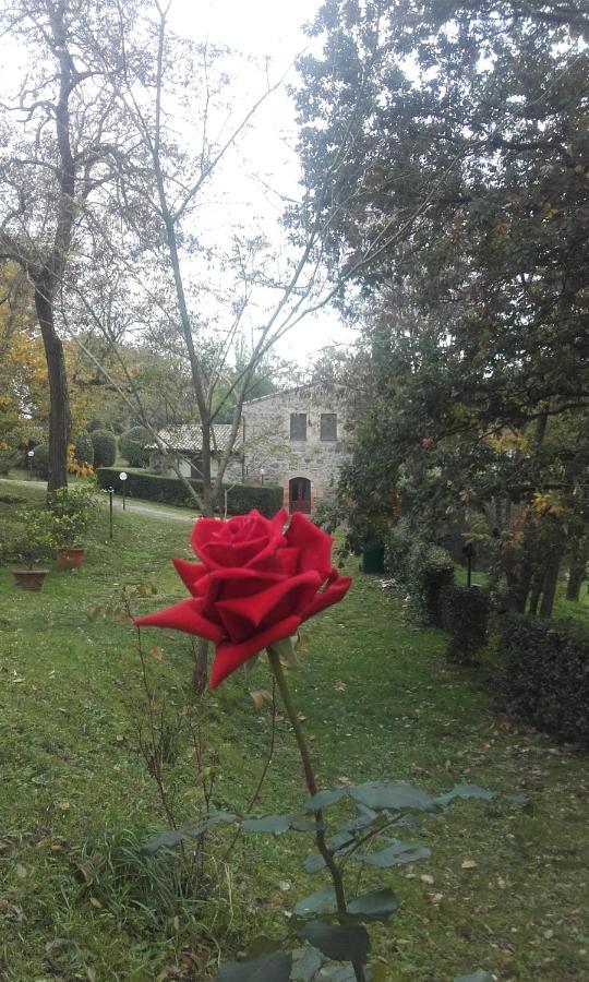 Agriturismo Il Cornalino Castel Viscardo Exterior foto