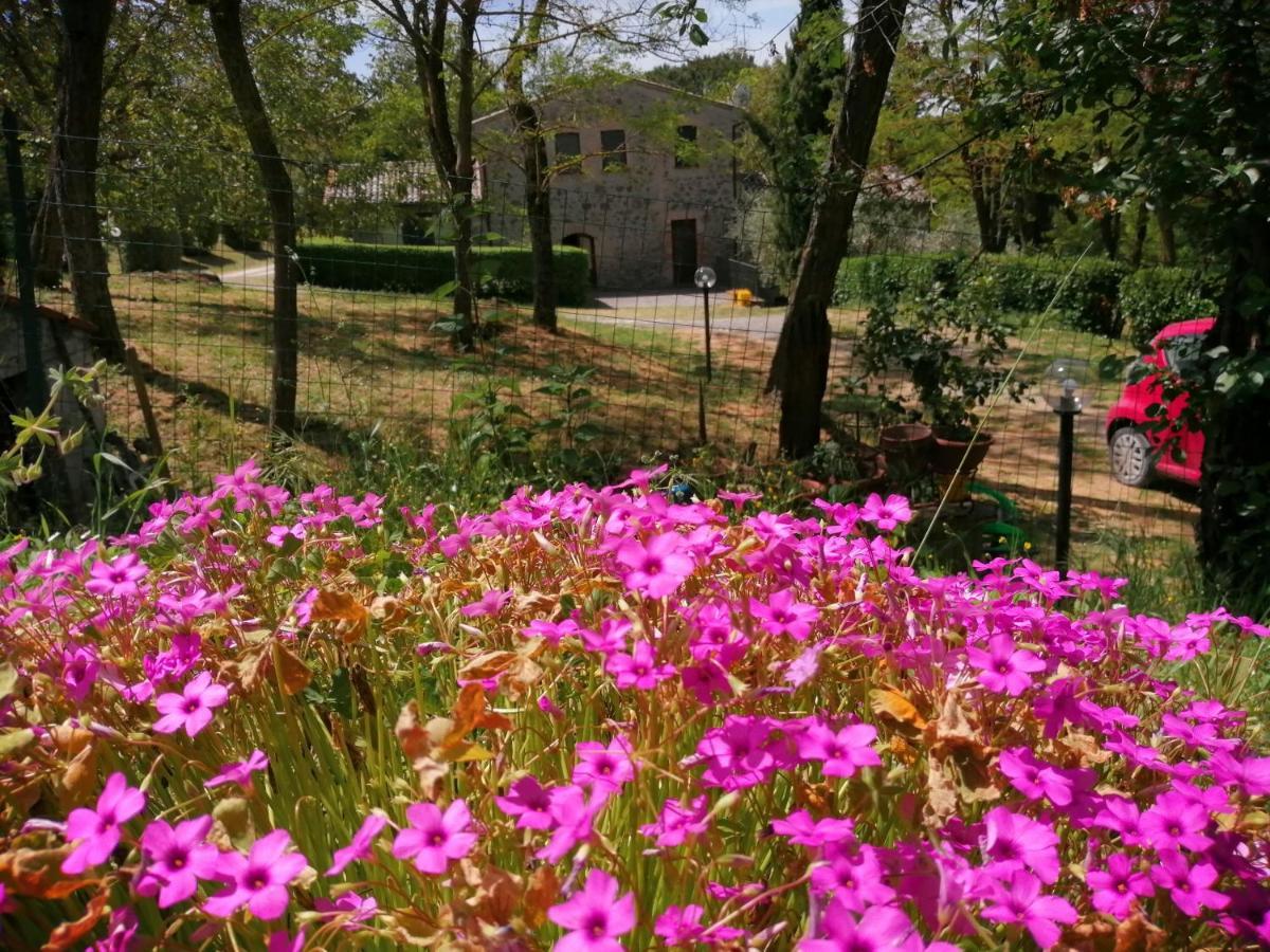 Agriturismo Il Cornalino Castel Viscardo Exterior foto