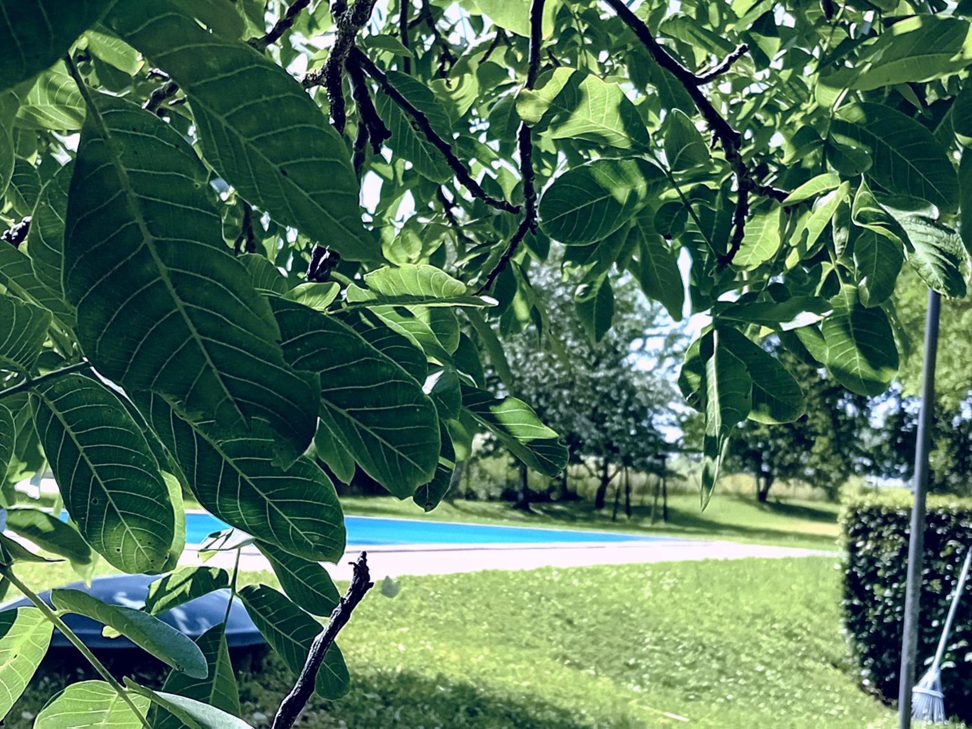 Agriturismo Il Cornalino Castel Viscardo Exterior foto
