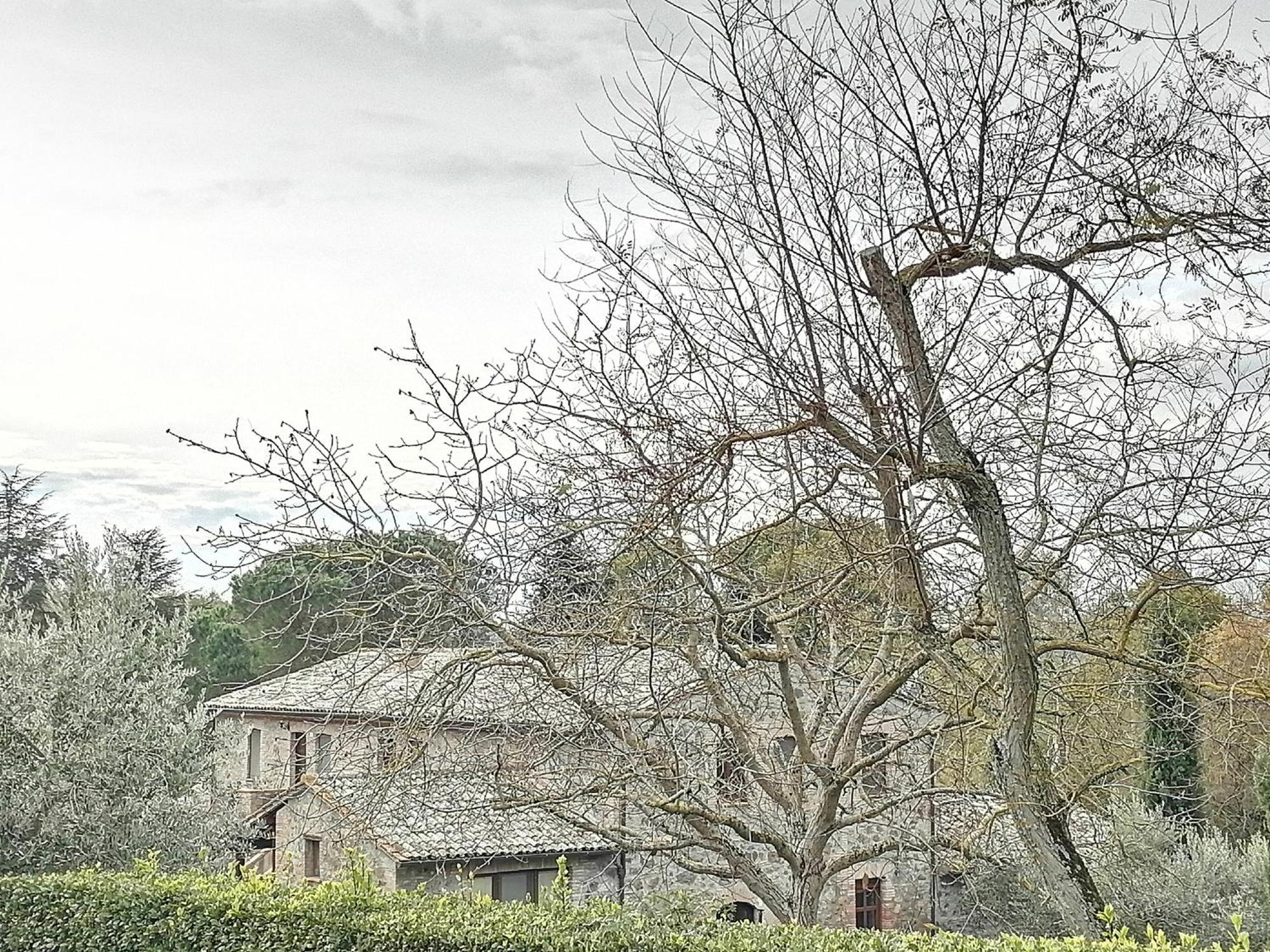 Agriturismo Il Cornalino Castel Viscardo Exterior foto