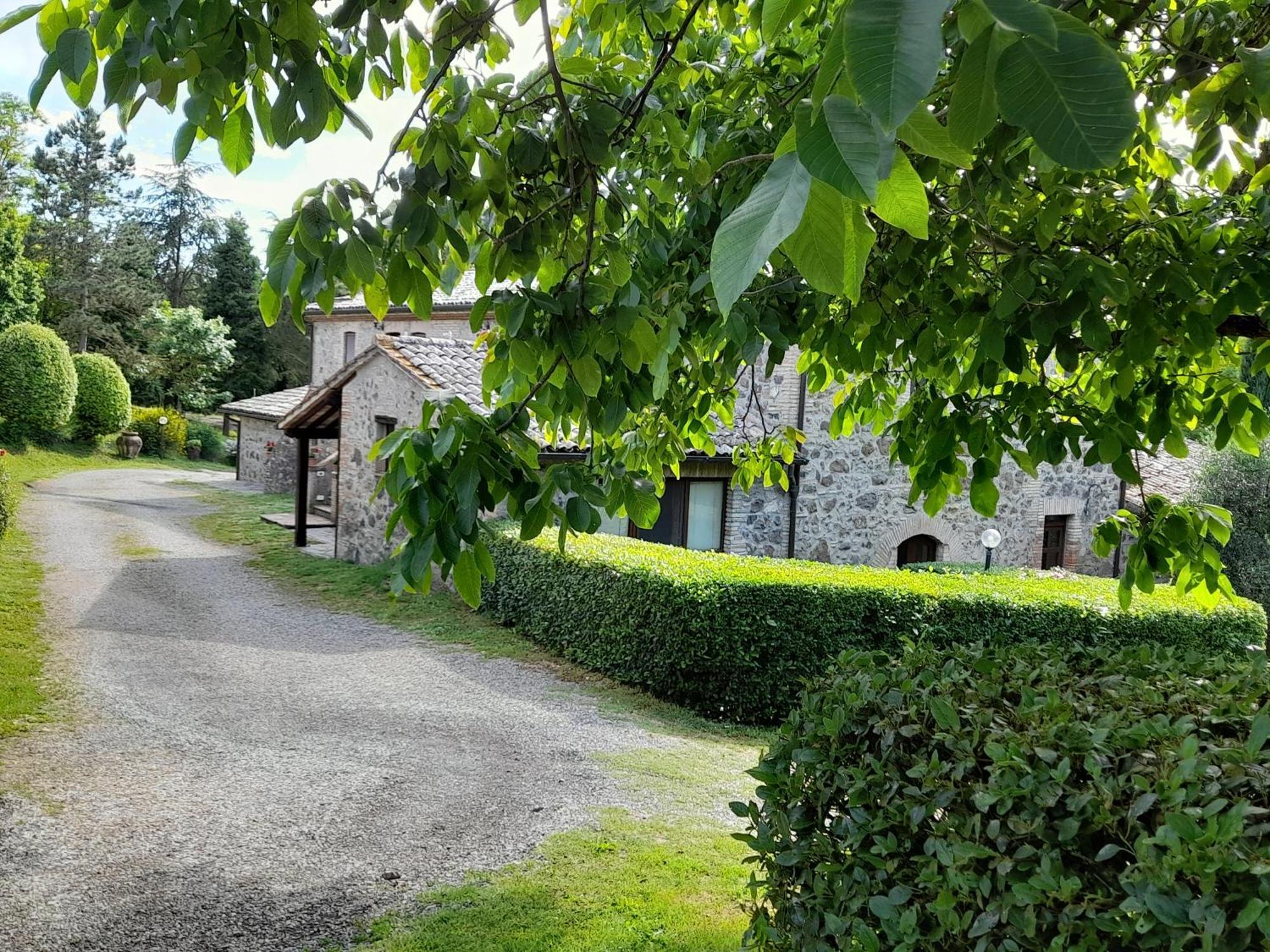 Agriturismo Il Cornalino Castel Viscardo Exterior foto